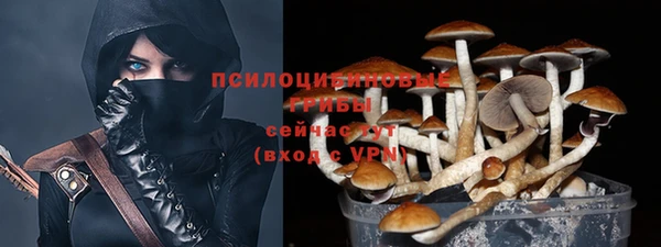 бошки Абаза