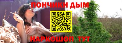 сатива Кандалакша