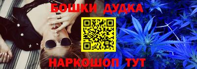 сатива Кандалакша