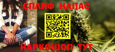 сатива Кандалакша
