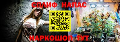 сатива Кандалакша