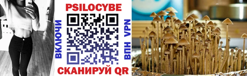 Псилоцибиновые грибы ЛСД  Шахты 