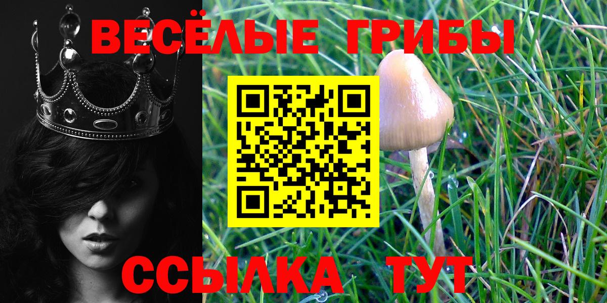 Галлюциногенные грибы прущие грибы Шахты